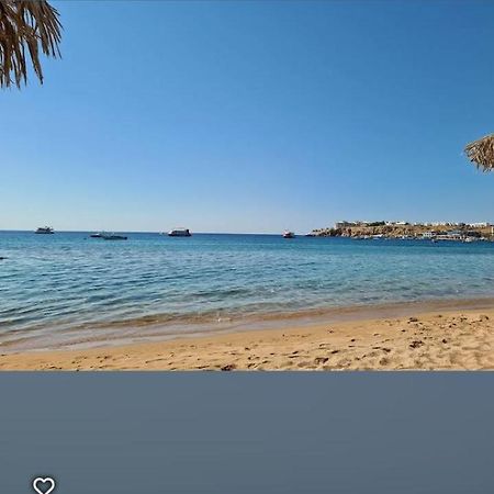 Sharm Dreams Hotely Jaz المظهر الخارجي الصورة